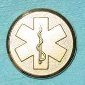 Large Silver EMS Buttons- Stars of Life