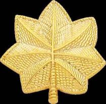 Large Oak Leaves Collar Insignia, 1", Pair