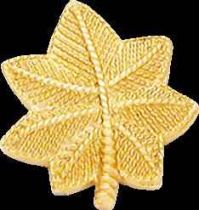 Small Oak Leaves Collar Insigna, Pair, 3/4"