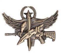 Center Mass SWAT Operator Qualification Pin, 1.5" x 1"