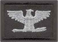 Colonel Rank Insignia- Eagles