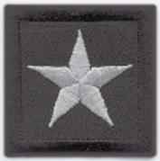 Chief Rank Insignia- Single Star