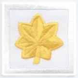 Mini Gold on White Oak Leaves, Collar Emblem