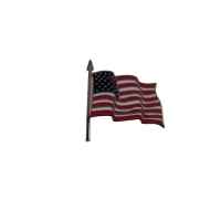 U. S. Flag Pin