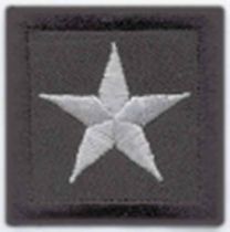 Chief Rank Insignia- Silver on Black