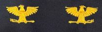 Gold Eagles Direct on Epaulet, Pair, Multiple Gold Color Options