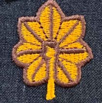 1" 2-Tone Oak Leaf on Epaulets Direct, Pair, Choose between our different color options